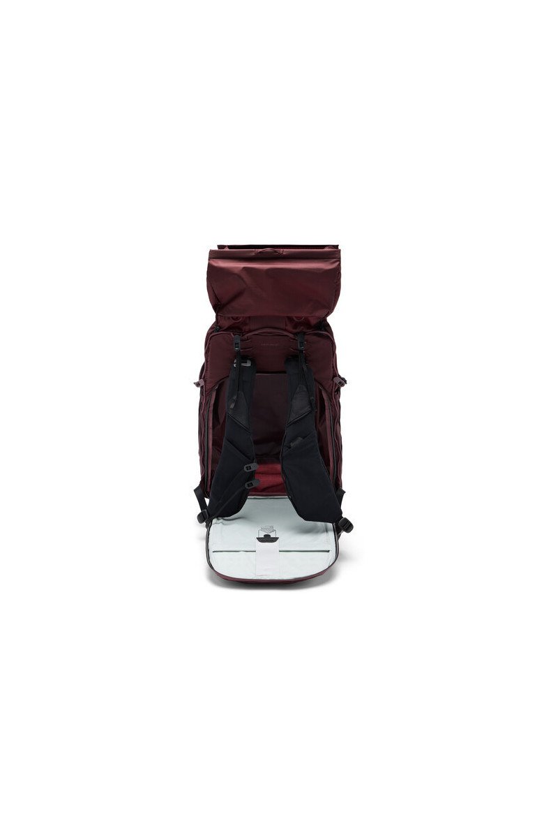 https://shop.vertxglobal.com/wp-content/uploads/2025/01/1728950452_IMG_2340331.jpg