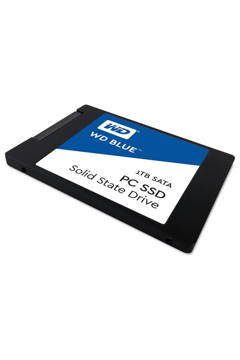 Western Digital 1TB Blue SA510 SATA Internal Solid State Drive SSD