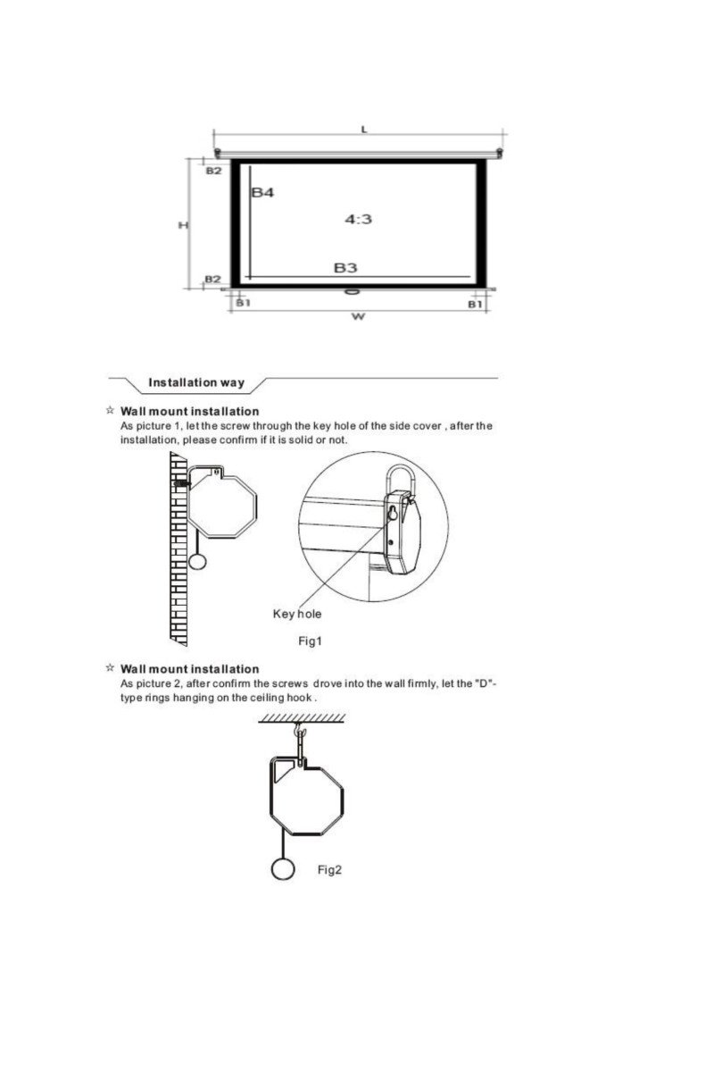 Alpha AES200-S Electric Projection Screen 200x200cm, 1:1
