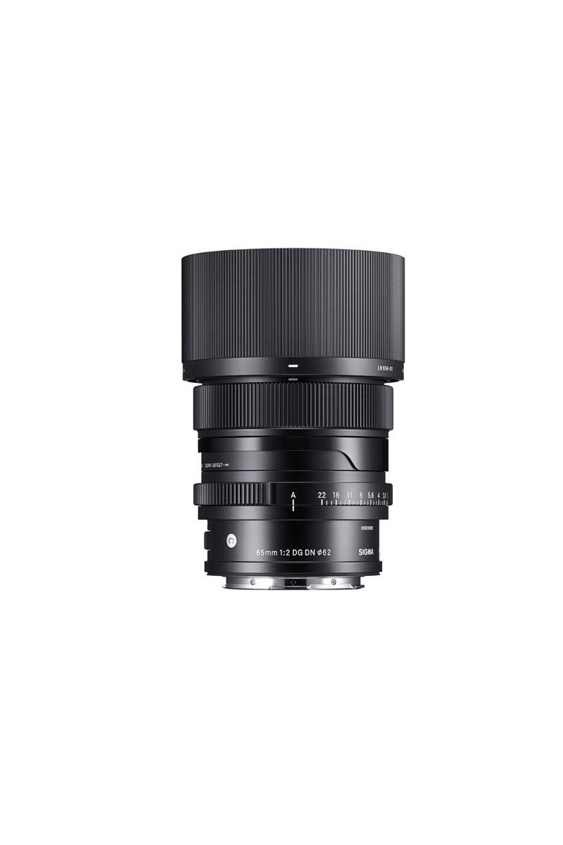 https://shop.vertxglobal.com/wp-content/uploads/2024/12/43.jpg