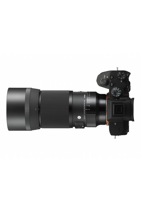 https://shop.vertxglobal.com/wp-content/uploads/2024/12/15-9.jpg