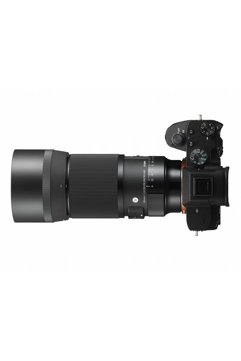 https://shop.vertxglobal.com/wp-content/uploads/2024/12/15-9.jpg