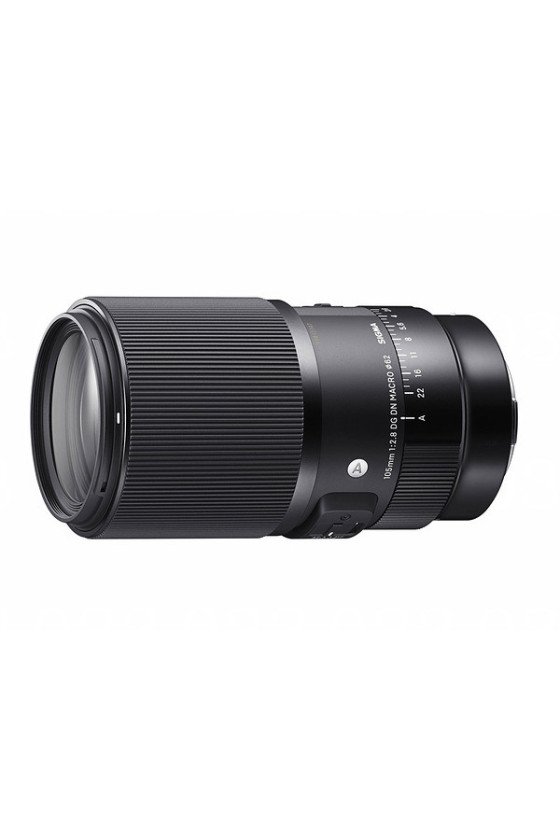 https://shop.vertxglobal.com/wp-content/uploads/2024/12/45.jpg