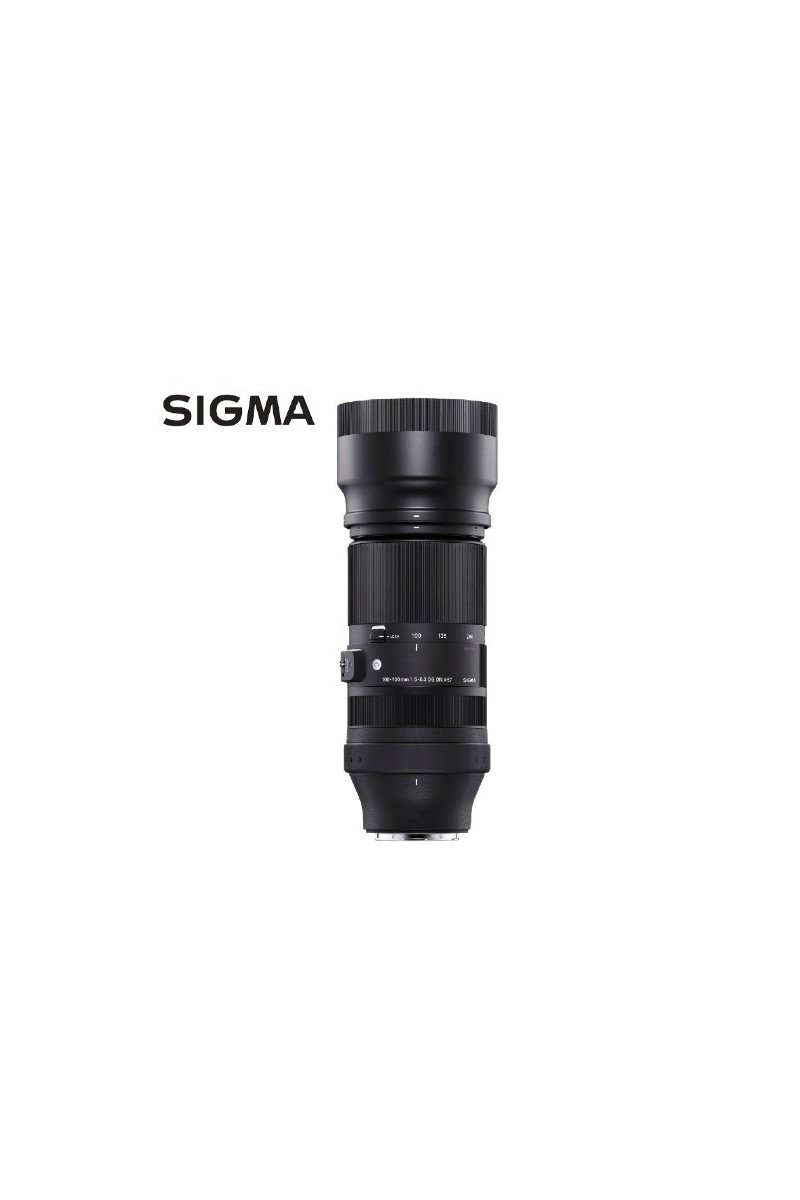 https://shop.vertxglobal.com/wp-content/uploads/2024/12/51.jpg