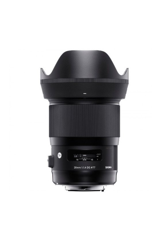 https://shop.vertxglobal.com/wp-content/uploads/2024/12/71.jpg